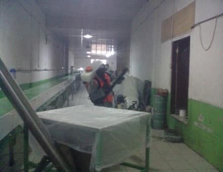 Pest Control Project 16