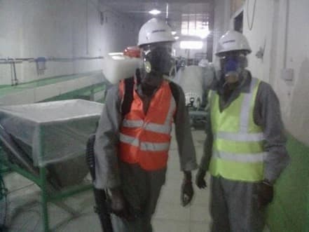 Pest Control Project 18