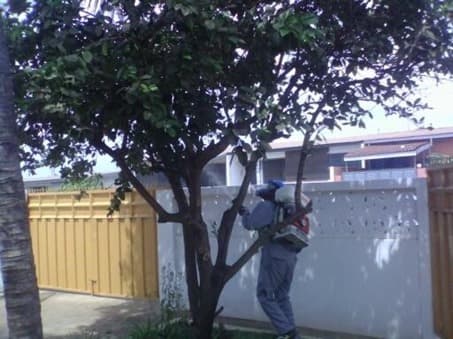 Pest Control Project 22