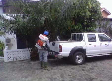 Pest Control Project 9